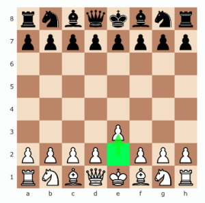 Your opponent moves pawn to h,6.