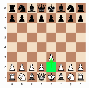 Your opponent moves pawn to h,6.