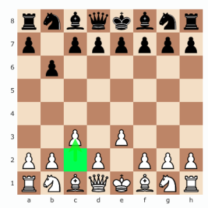 Your opponent moves pawn to h,6.